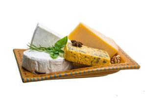 variedade de queijos foto