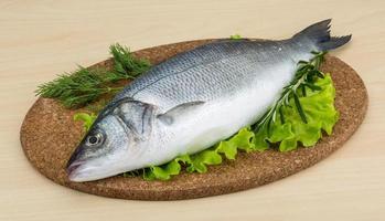 robalo cru na placa de madeira e fundo de madeira foto