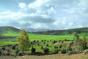 paisagem vista do campo de colheita rural em Marrocos foto