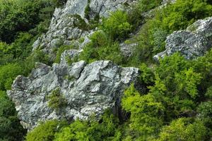 grandes pedras cinzentas nas montanhas, crescendo entre arbustos e árvores. paisagem de pedra. fundo foto