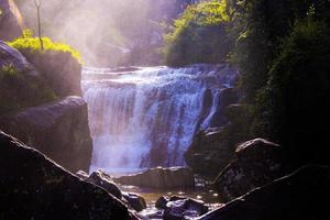 cachoeira cercada por grama e pedras foto