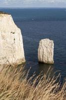 vista do velho harry rocks no handfast point, na ilha de purbeck em dorset foto