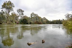 o rio murray inundou devido a chuvas acima da média em nsw. foto