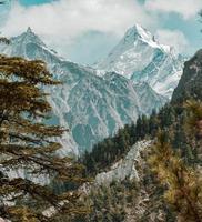 montanhas nevadas atrás de árvores verdes foto