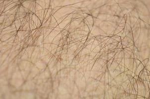 close-up detalhe da pele humana com cabelo. perna peluda do homem foto