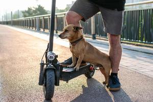 feche os pés de um homem de tênis fez parar uma perna com seu cachorro na scooter elétrica nas ruas ou no parque. foco seletivo nos pés. foto