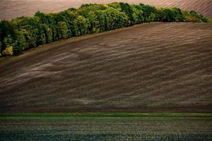 imagem de uma paisagem com solo fértil da república da moldávia. terra arável preta boa para semear. agricultura ecológica. foto