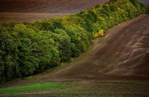 imagem de uma paisagem com solo fértil da república da moldávia. terra arável preta boa para semear. agricultura ecológica. foto