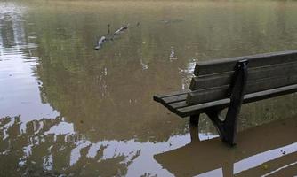 clima extremo - banco em um parque inundado em dusseldorf, alemanha foto