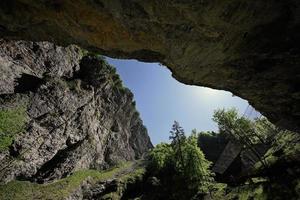 liechtensteinklamm ou desfiladeiro de liechtenstein, desfiladeiro particularmente estreito com paredes, localizado nos alpes austríacos, perto de salzburg, áustria. foto