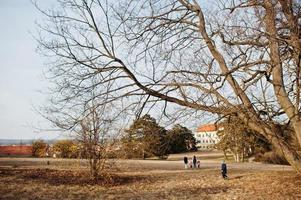 mãe com quatro filhos no valtice park, república tcheca. foto