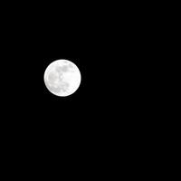 timelapse da lua, lapso de tempo de ações - ascensão da lua cheia no céu escuro da natureza, noite. lapso de tempo do disco da lua cheia com luz da lua no céu escuro à noite. imagens de vídeo gratuitas de alta qualidade ou timelapse foto