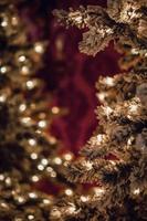 close-up de árvores de natal foto