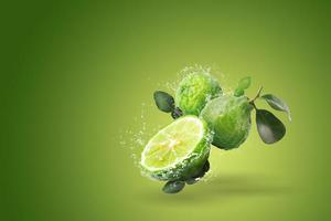 respingos de água na fruta bergamota foto