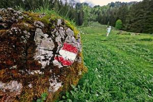 Sinal de bandeira de asutria em montanhas de pedra em vorderer gosausee, gosau. foto