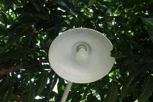 iluminação redonda branca sob a mangueira foto