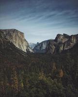 pinheiros com vista para o parque nacional de Yosemite foto
