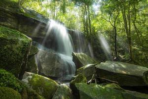 bela cachoeira da floresta tailândia - a árvore verde da selva e a natureza de detalhes da planta na floresta tropical com samambaia de musgo na rocha e árvores córregos de água cachoeiras que fluem das montanhas foto