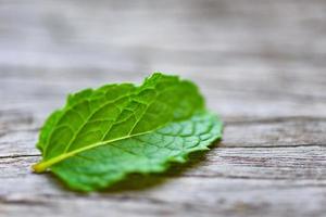 folha de hortelã-pimenta em fundo de madeira - folhas de hortelã fresca natureza ervas verdes ou alimentos vegetais foto