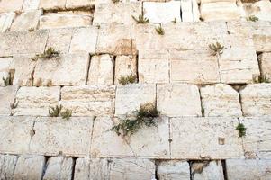 parede em jerusalém foto