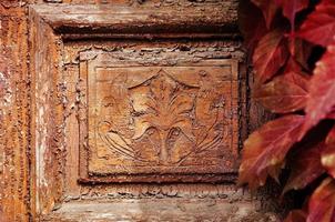 detalhe de porta vintage com folhas de uvas bravas