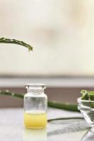 pedaços de planta de babosa com gel dentro em uma tigela de vidro de close-up. Medicina alternativa. coleta de suco de aloe, para o tratamento de doenças de pele. foto