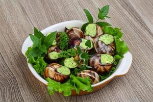 escargot em uma tigela sobre fundo de madeira foto