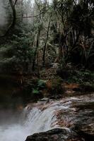 cachoeira cercada por árvores foto