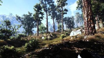 rica área de floresta natural, córregos, céu, montanhas e várias plantas renderização em 3d foto