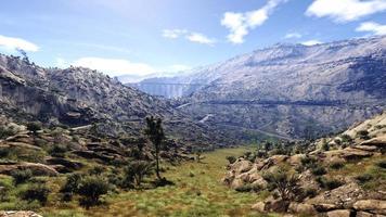 rica área de floresta natural, córregos, céu, montanhas e várias plantas renderização em 3d foto