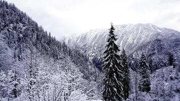 cenário do vale da floresta paisagem de sonho hallstatt inverno neve paisagem de montanha leva à antiga mina de sal de hallstatt, áustria foto