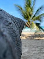 palmeira de coco inclinada com céu azul na praia tropical. foto