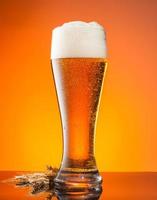 copo de cerveja com fundo laranja foto