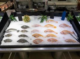 frutos do mar no gelo no mercado de peixes. foto