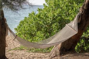 balanço de rede entre árvores em uma ilha tropical com bela praia. foto