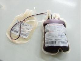 bolsa de doação de sangue foto