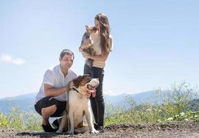 jovem casal viajando com cães nas montanhas, cachorro st.bernard e yourkshire terrier foto