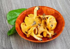 chanterelle em uma tigela com fundo de madeira foto