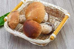 cogumelos selvagens na cesta de madeira e fundo branco foto