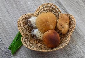 cogumelos selvagens na cesta de madeira e fundo branco foto