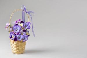 flores de viola foto