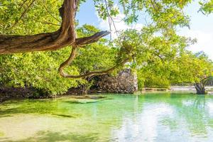 pequena e linda caverna de cenote com rio azul turquesa água méxico. foto