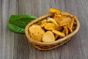 chanterelle em uma cesta em fundo de madeira foto