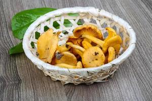 chanterelle em uma cesta em fundo de madeira foto