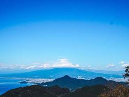 árvore verde com folhas na noite no japão foto