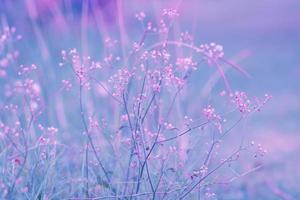 flor de fantasia, fundo de pastéis vintage de natureza foto