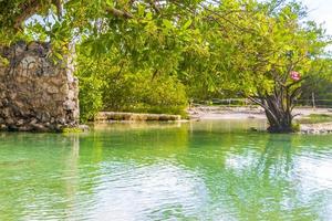 pequena e linda caverna de cenote com rio azul turquesa água méxico. foto