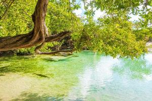 pequena e linda caverna de cenote com rio azul turquesa água méxico. foto