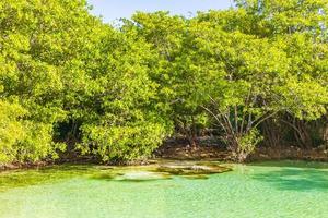 pequena e linda caverna de cenote com rio azul turquesa água méxico. foto