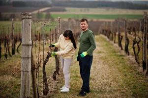 casal trabalhando na vinha no início da primavera. foto